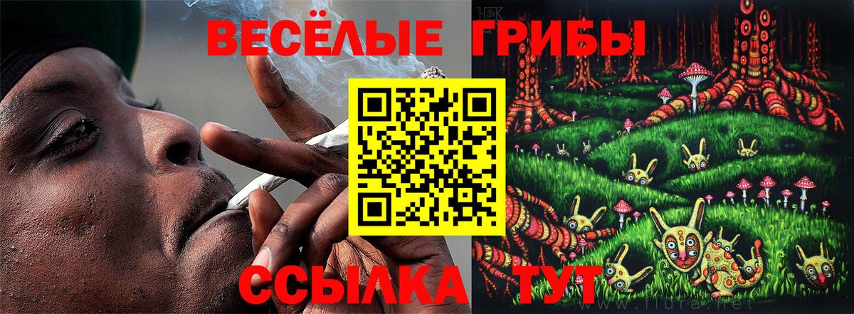 Ярцево  Псилоцибиновые грибы Cubensis  Вход с VPN 