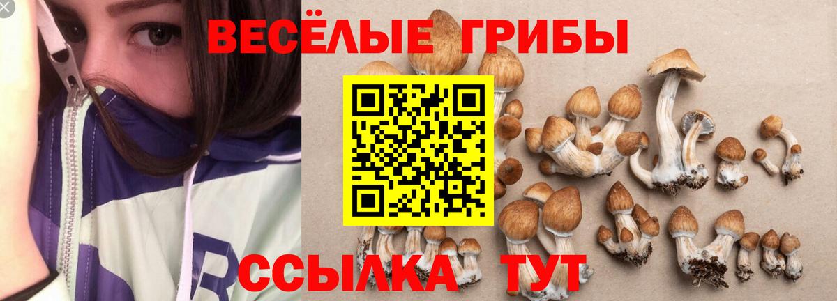 Галлюциногенные грибы прущие грибы Ярцево